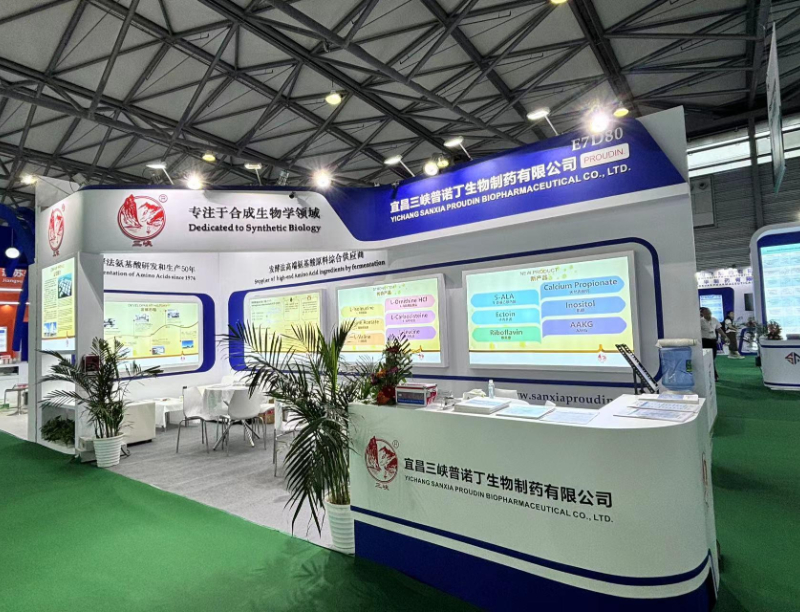 上海CPHI于2024年6月